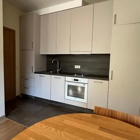 Old-town - New Listing - Promo Price * Vilnius