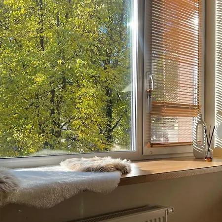 Old-town - New Listing - Promo Price *